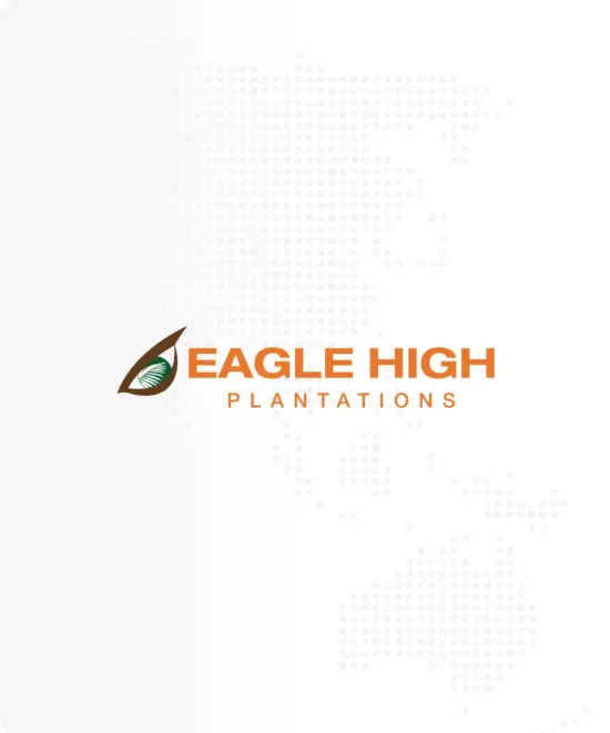 Eagle High 2