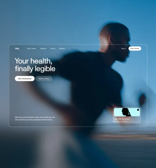Vela homepage hero