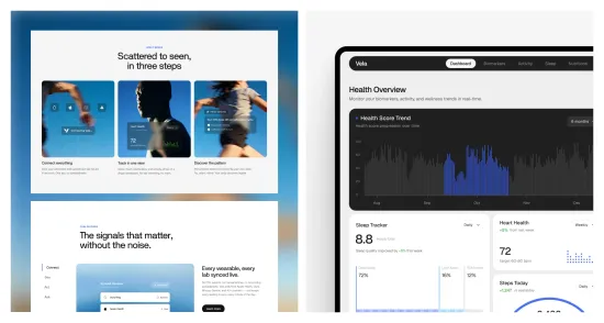 Vela website pages
